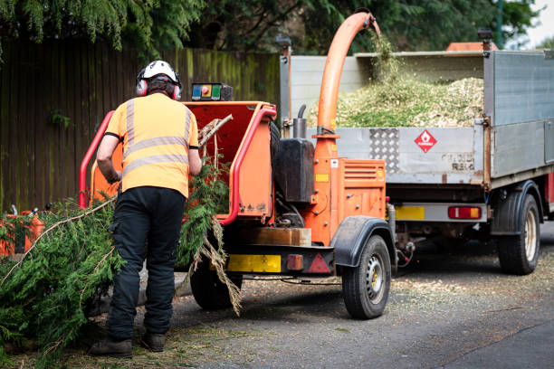 Best Affordable Tree Service  in Jay, OK